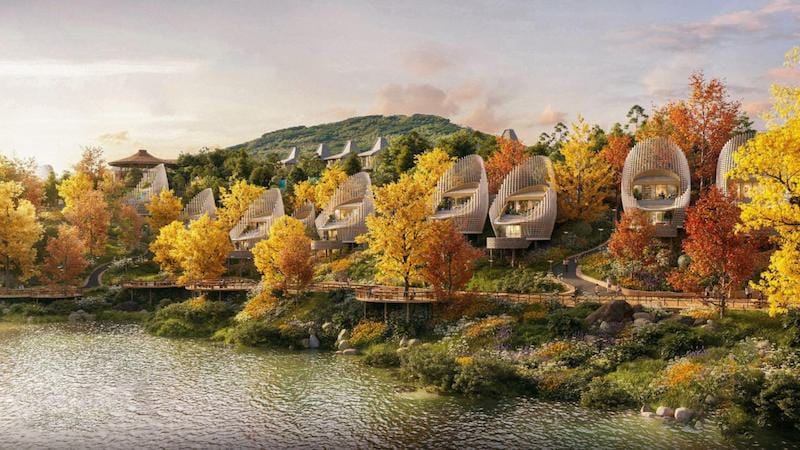 Shoshin Bình Thanh - Sự kết hợp hoàn hảo giữa hiện đại và thiên nhiên